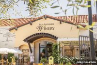 6 Wine Tasting Rooms You Should Visit in 2024