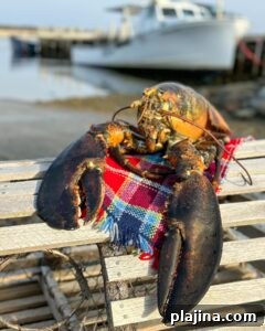 Lobster