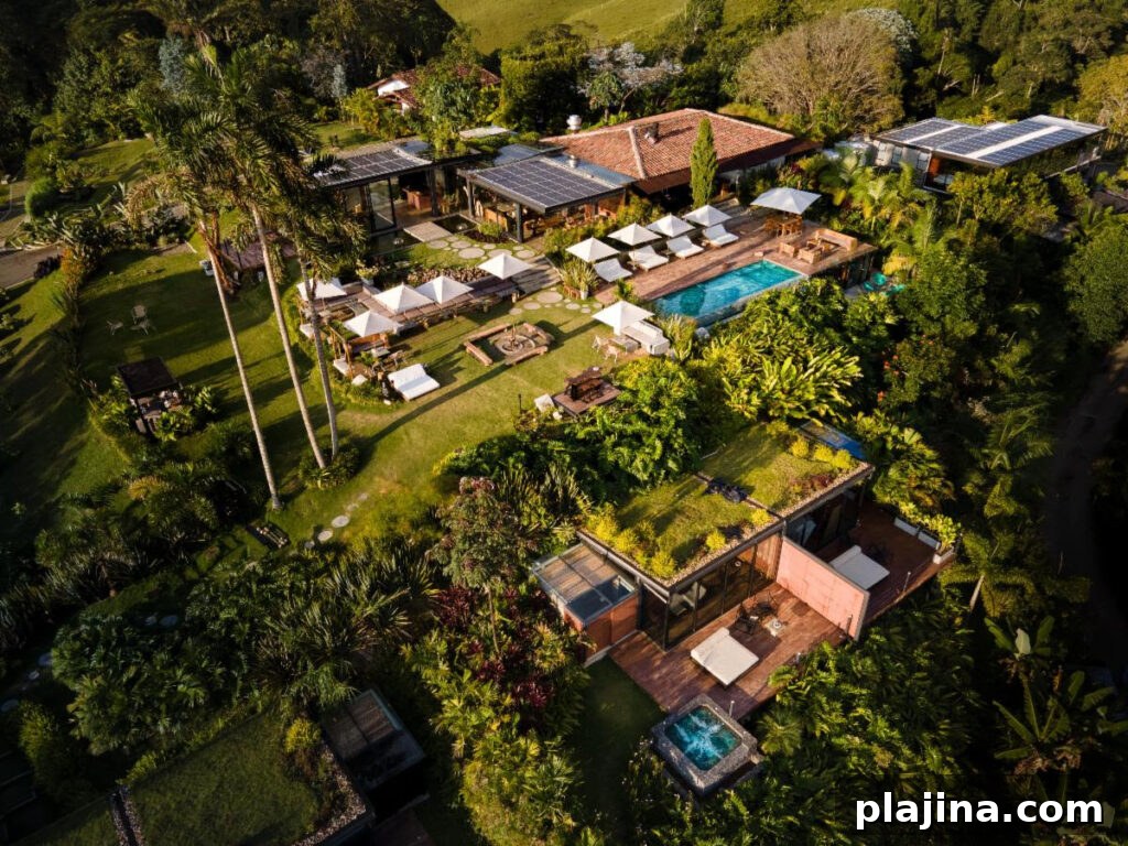 aerial