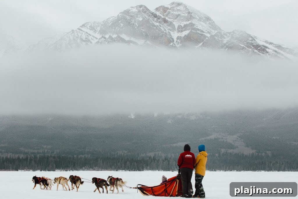 sledding