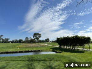 img 155121 2