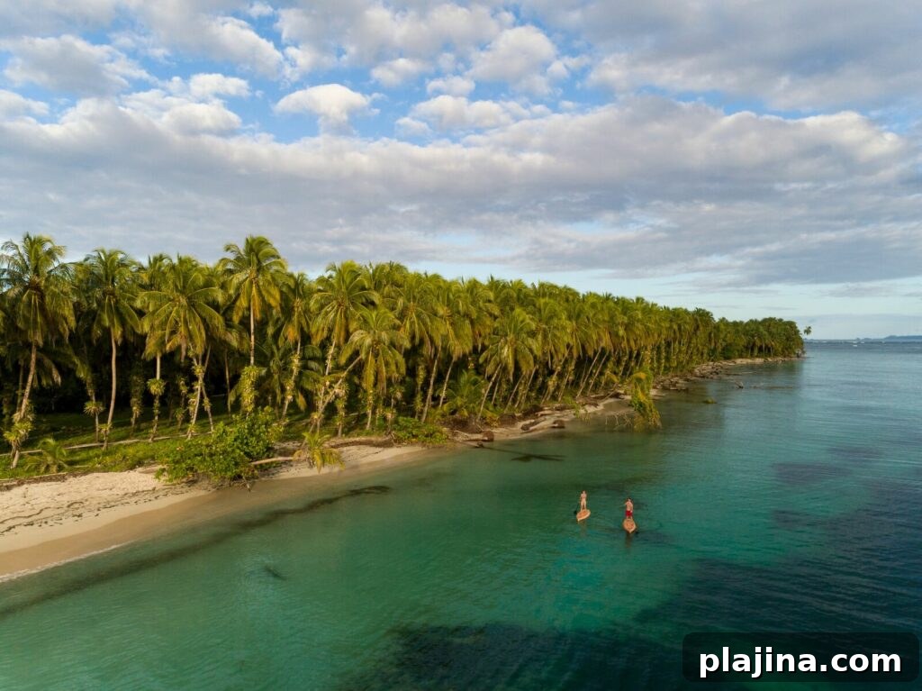 Bocas del Toro