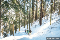 Relaxing Wellness Retreats in Tuolumne County, California