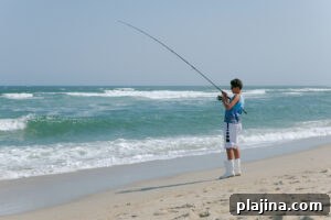 img 157194 1