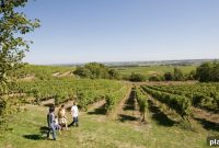Cognac Travel Guide: Tasting the Spirit in Its Historic Town