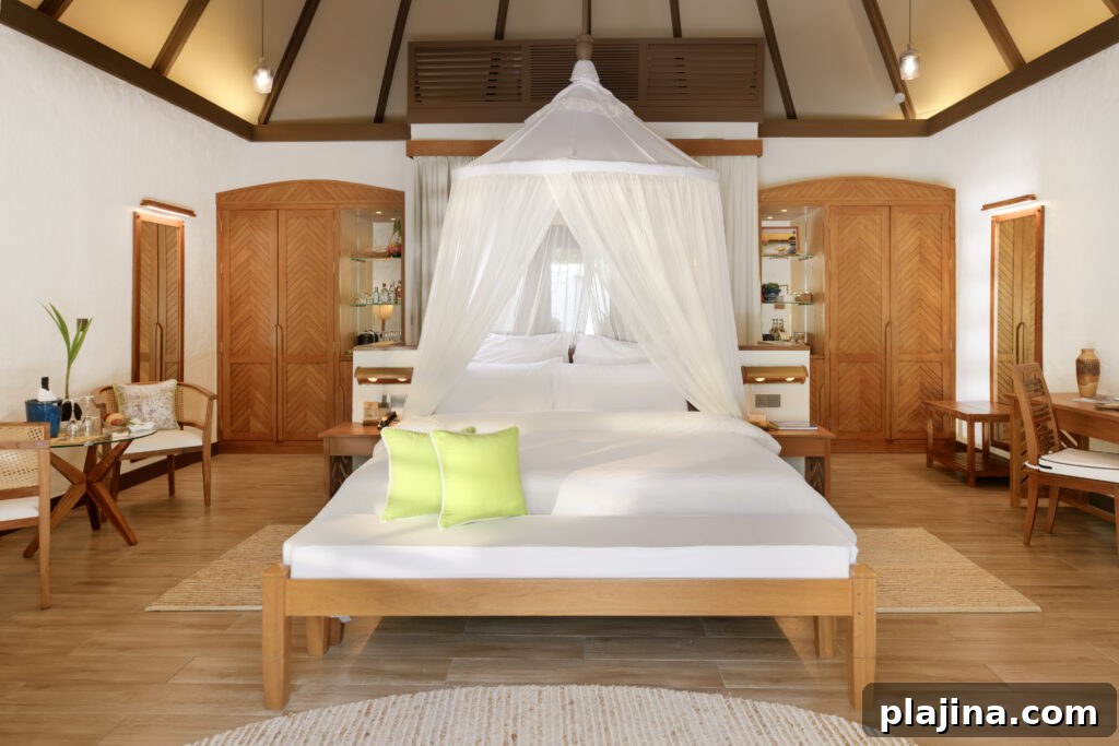 deluxe villa
