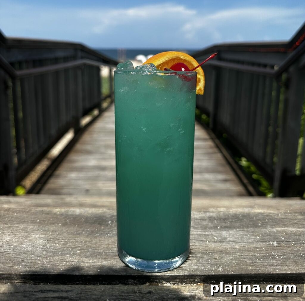 Tipsy Turtle