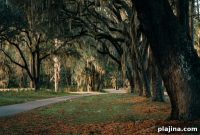 Six Senses Resort Opens on South Carolina’s Kiawah Island in 2026