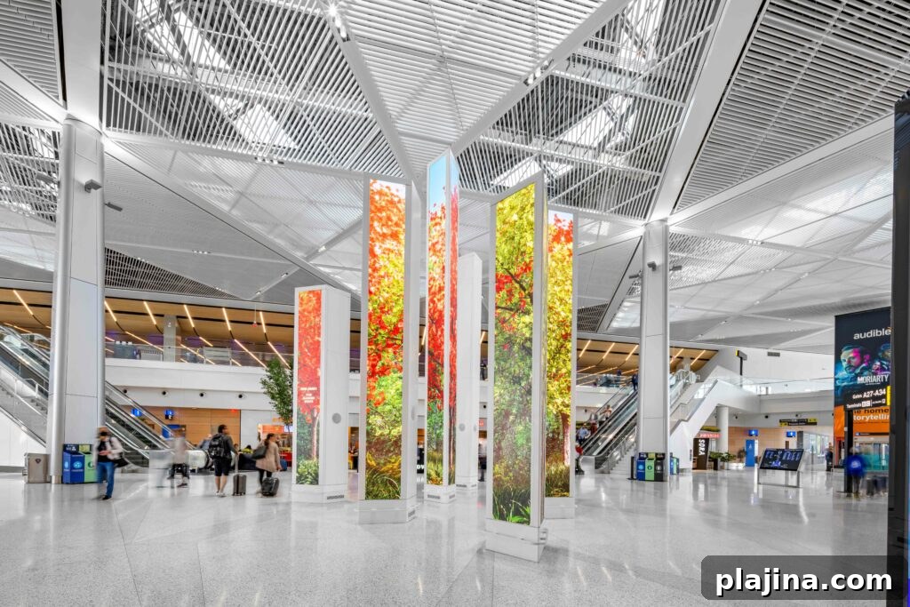Airport