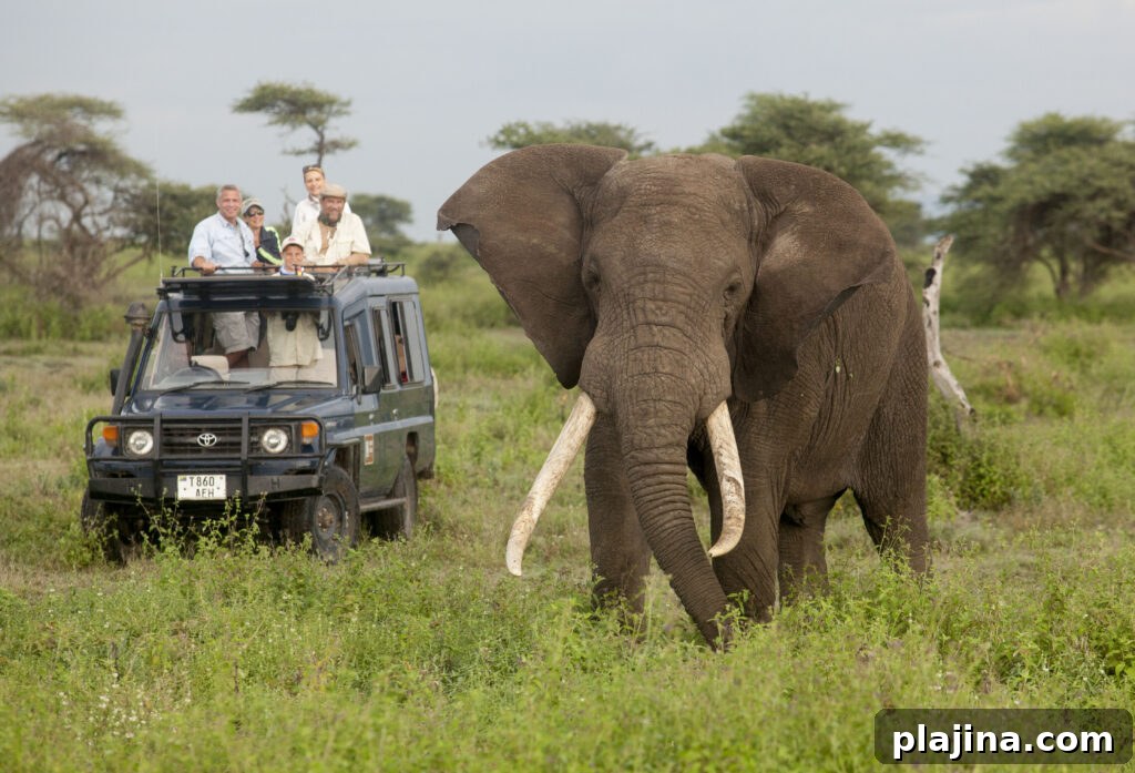 Africa