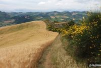 Walk Four Historic Pilgrimage Routes in Emilia-Romagna, Italy