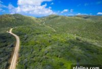 Discover Your Perfect Paradise on Aruba Island Beaches