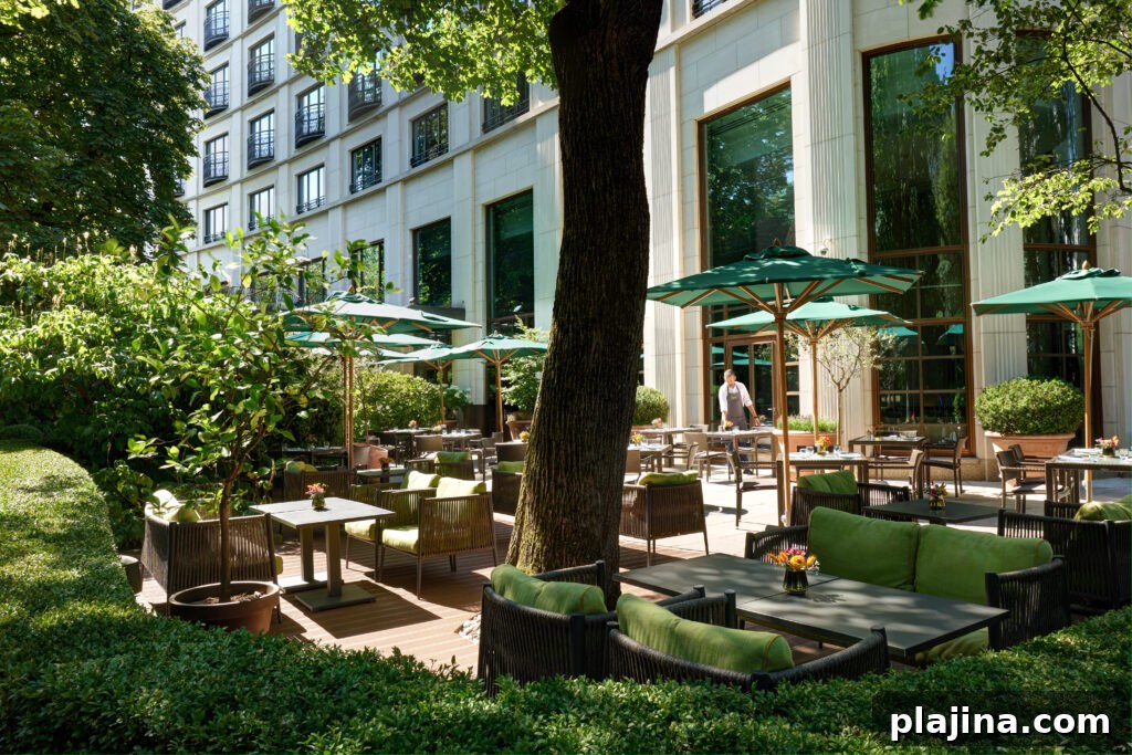terrace