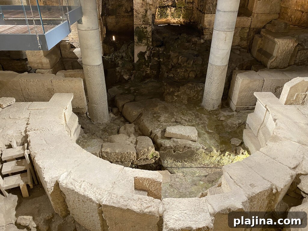 img 160931 1