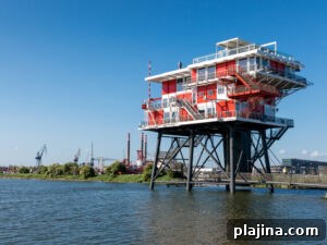 img 161470 1