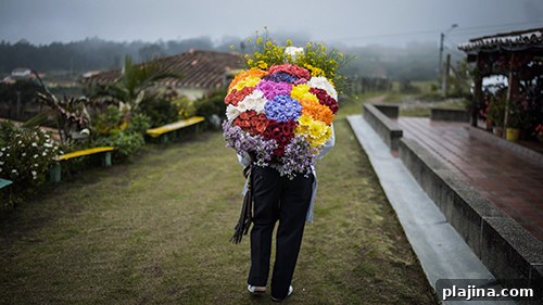 Medellín © ProColombia