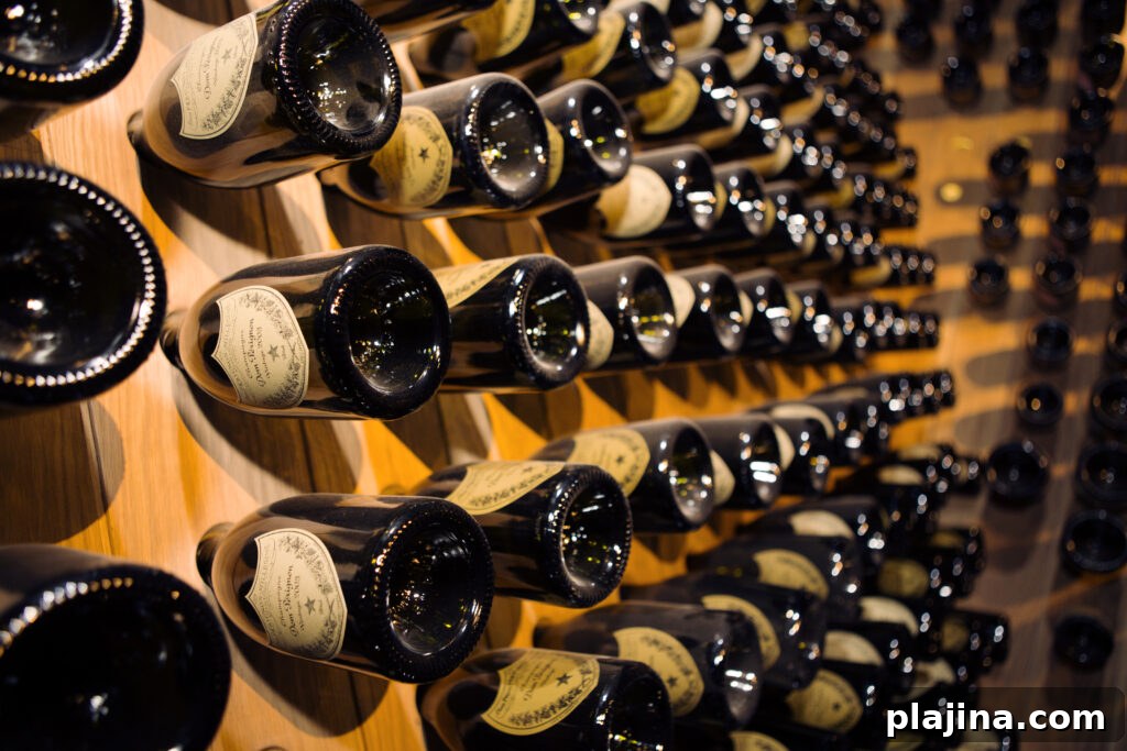 4 Must-See Global Art Exhibitions to Travel For in 2024 3 wine gallery