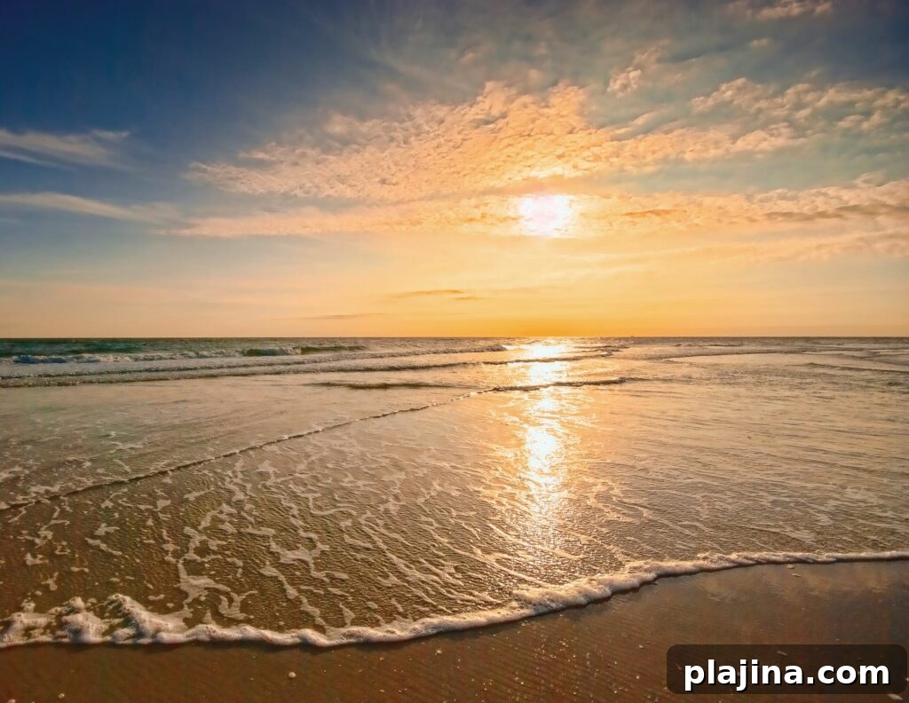 Anastasia Beach
