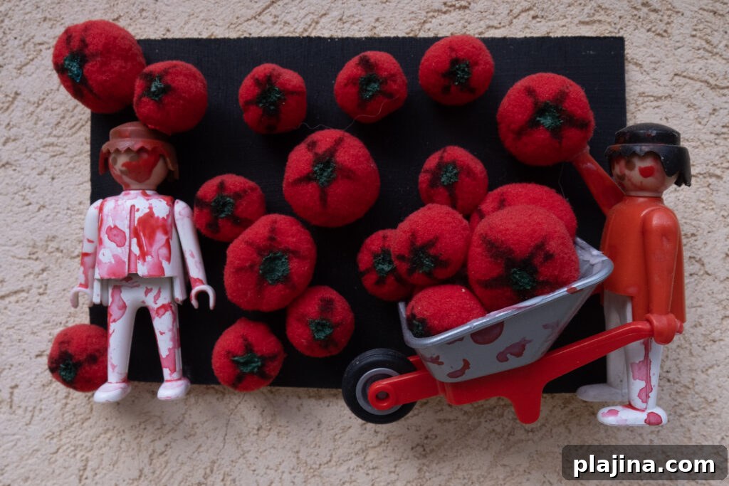 tomatos