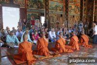 Relaxing River Cruises: Unique Journeys for Laid-Back Travelers