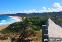 Wellness Retreats in Puerto Rico: Recharge Your Mind, Body & Spirit