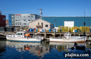 img 163809 1