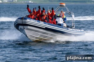 img 164076 1