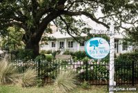 Boutique Luxury Escapes on the Mississippi Gulf Coast
