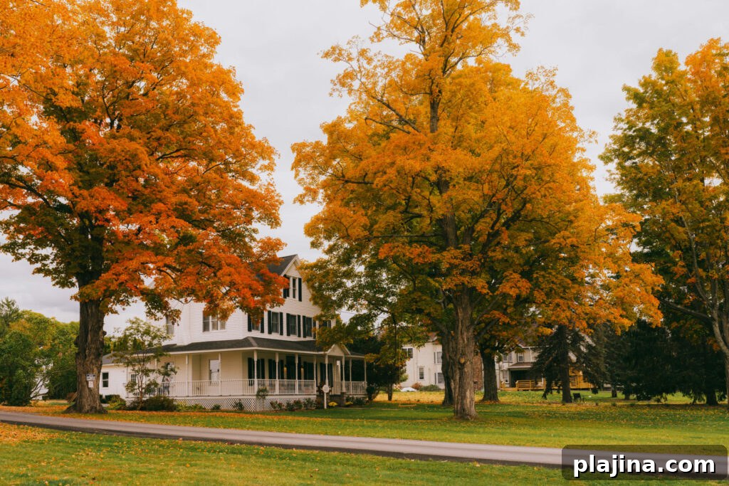 fall