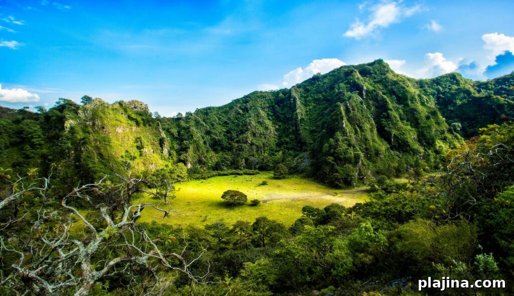 Nayarit