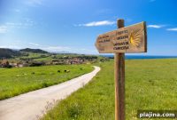 VBT Bicycling Vacations and Country Walkers Launch New 2026 Itineraries