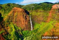 Cruise to Hawai‘i: Experience the Aloha Spirit at Sea