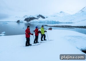 img 166687 1