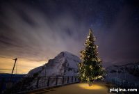 Why Visit Grindelwald Christmas Market: Top Reasons to Go