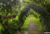 Explore Ecuador’s Cacao Origins: Visit the Birthplace of Chocolate