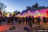 Winterlights: Indianapolis Transformed by Dazzling Holiday Lights