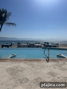 img 167089 1