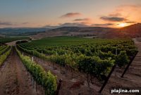 Discover Outdoor Adventures in Lompoc on California’s Central Coast