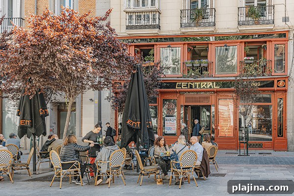 © Madrid Destino