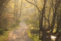 Luxury Virginia Woodland Inn Invites Guests to Breathe Deep and Relax