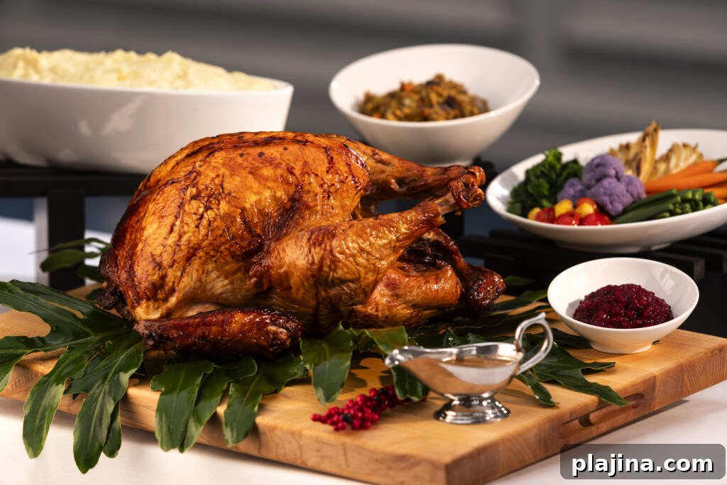 turkey