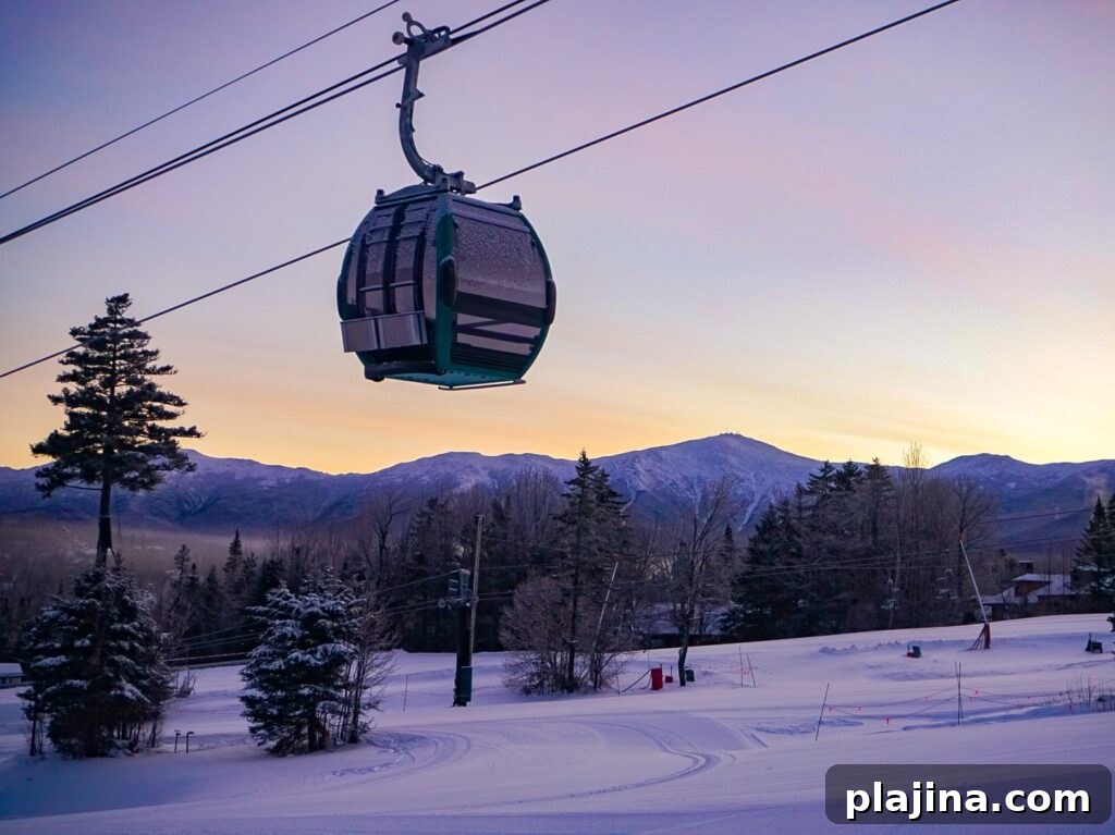 gondola