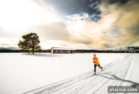 Experience Norway’s Most Cherished Holiday Traditions with Up Norway
