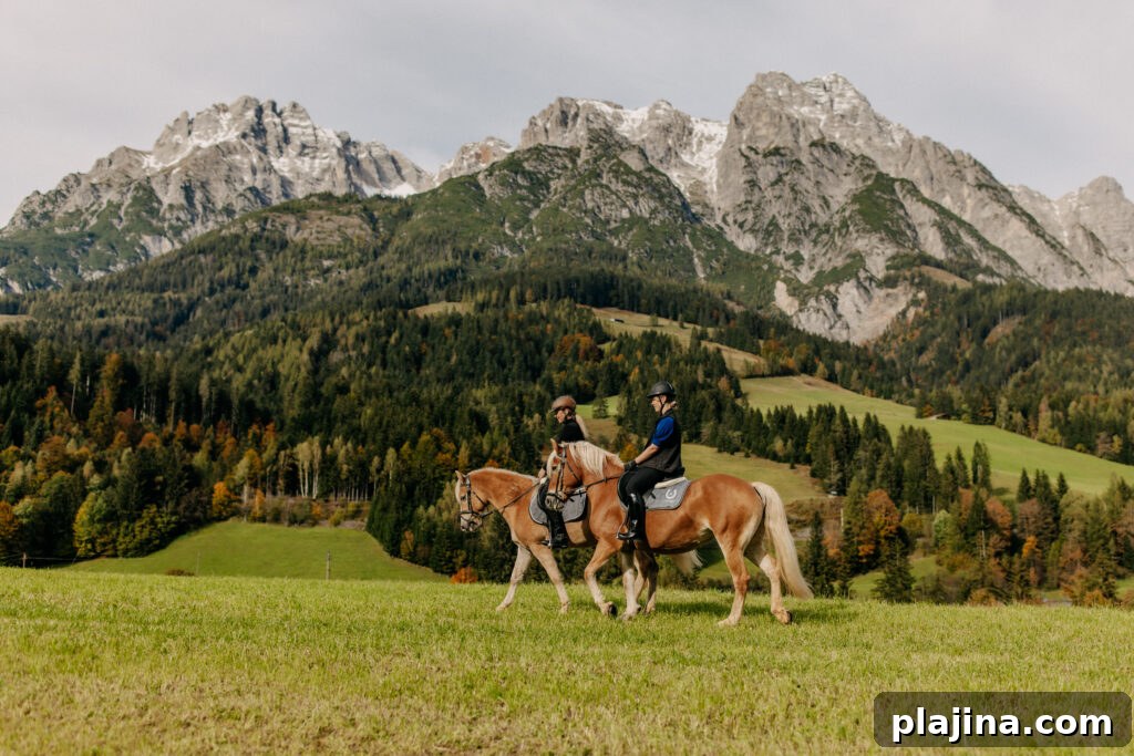 horseback