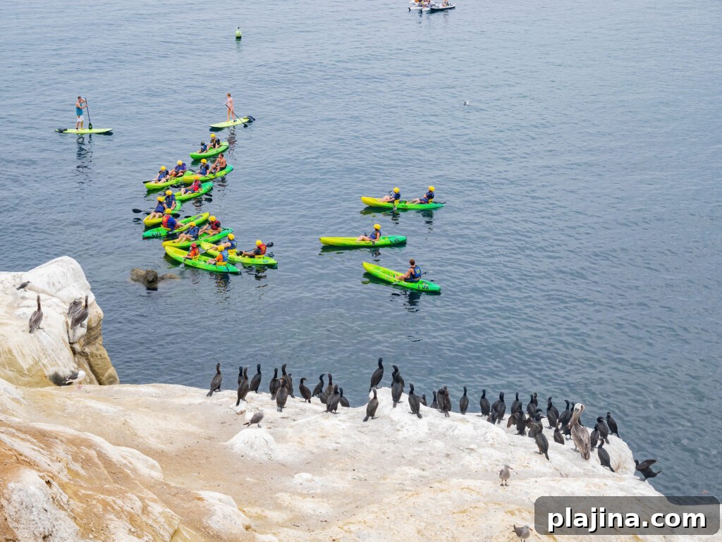 kayak