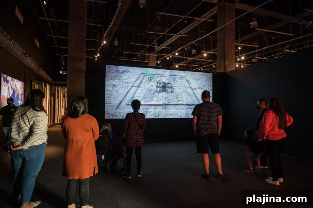 exhibit