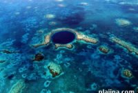 Explore Belize’s Biodiversity: Top Wildlife and Adventure Experiences