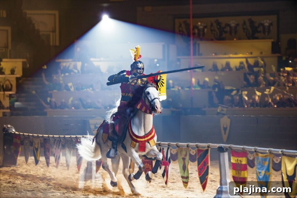 jousting