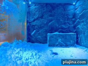 img 171946 1