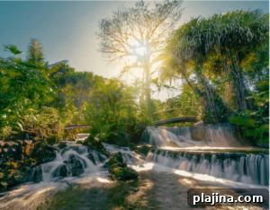 Tabacón resort waterfall